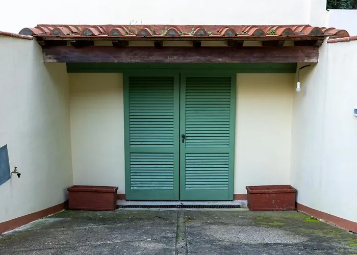 Bilocale A Due Passi Dal Mare Immerso Nel Verde