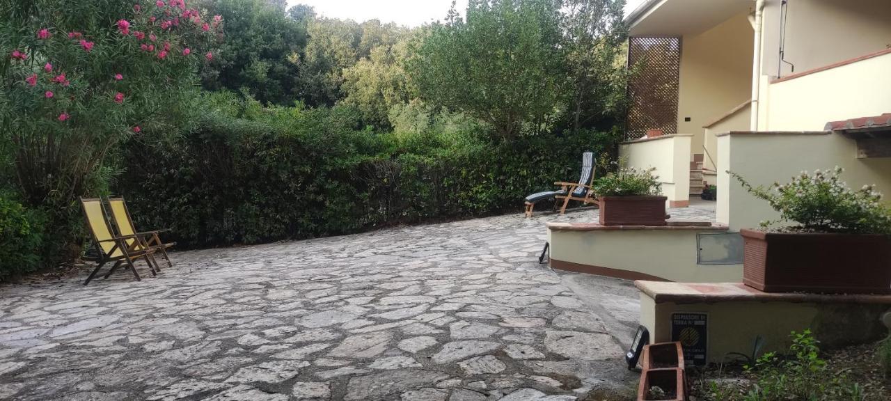 Bilocale A Due Passi Dal Mare Immerso Nel Castiglioncello