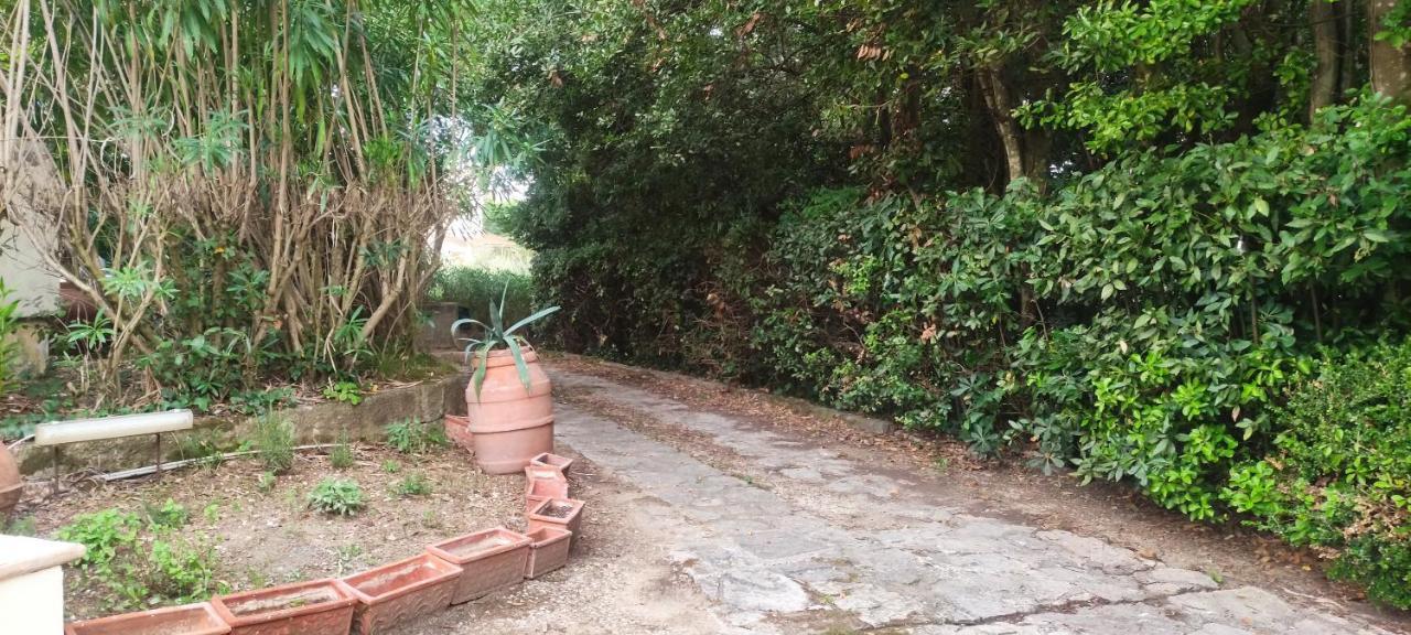 Bilocale A Due Passi Dal Mare Immerso Nel Apartment *