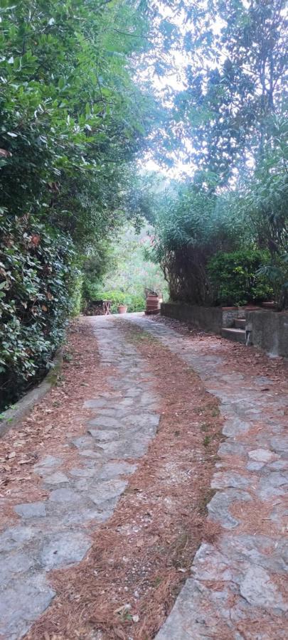 Bilocale A Due Passi Dal Mare Immerso Nel Apartment Castiglioncello